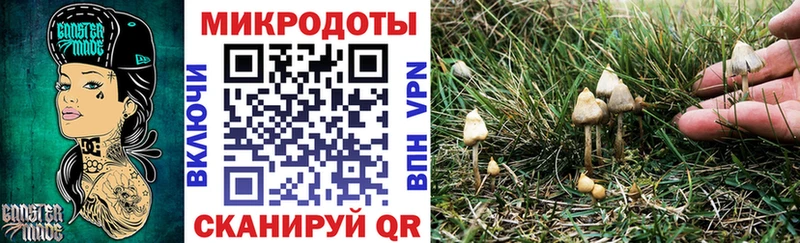 Галлюциногенные грибы GOLDEN TEACHER Энем