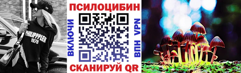 Галлюциногенные грибы MAGIC MUSHROOMS  магазин продажи наркотиков  Энем 